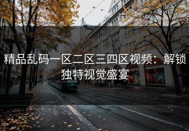 精品乱码一区二区三四区视频：解锁独特视觉盛宴