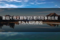 蘑菇片场又翻车了？职场琐事背后是不为人知的原因