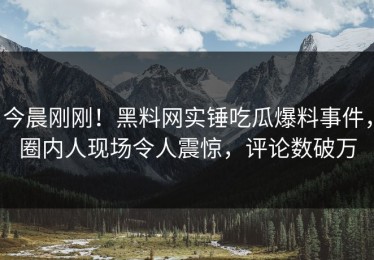 今晨刚刚！黑料网实锤吃瓜爆料事件，圈内人现场令人震惊，评论数破万