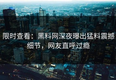 限时查看：黑料网深夜曝出猛料震撼细节，网友直呼过瘾
