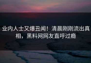 业内人士又爆丑闻！清晨刚刚流出真相，黑料网网友直呼过瘾