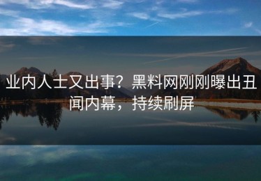 业内人士又出事？黑料网刚刚曝出丑闻内幕，持续刷屏