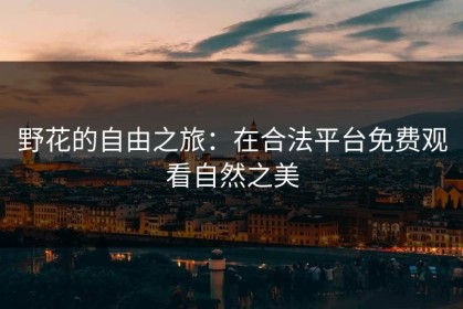 野花的自由之旅：在合法平台免费观看自然之美
