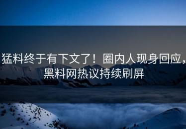猛料终于有下文了！圈内人现身回应，黑料网热议持续刷屏