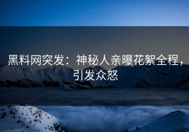 黑料网突发：神秘人亲曝花絮全程，引发众怒