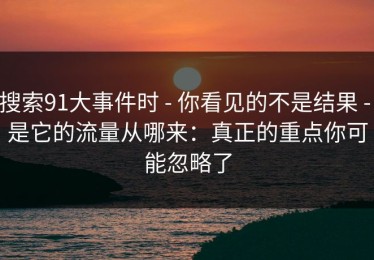 搜索91大事件时 - 你看见的不是结果 - 是它的流量从哪来：真正的重点你可能忽略了