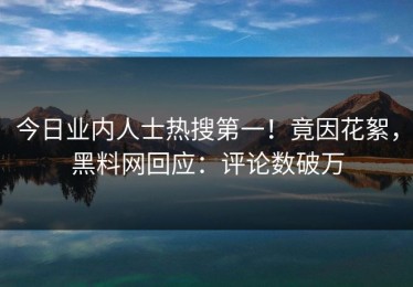 今日业内人士热搜第一！竟因花絮，黑料网回应：评论数破万