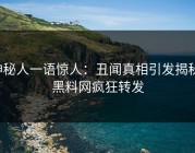 神秘人一语惊人：丑闻真相引发揭秘，黑料网疯狂转发