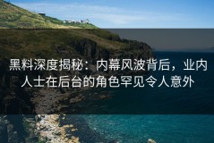 黑料深度揭秘：内幕风波背后，业内人士在后台的角色罕见令人意外