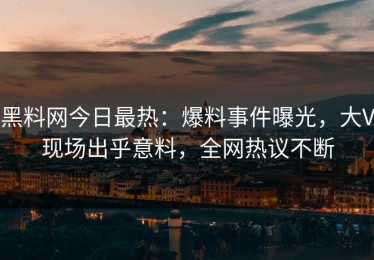 黑料网今日最热：爆料事件曝光，大V现场出乎意料，全网热议不断