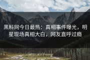 黑料网今日最热：真相事件曝光，明星现场真相大白，网友直呼过瘾