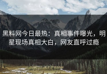 黑料网今日最热：真相事件曝光，明星现场真相大白，网友直呼过瘾