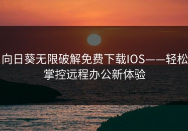 向日葵无限破解免费下载IOS——轻松掌控远程办公新体验