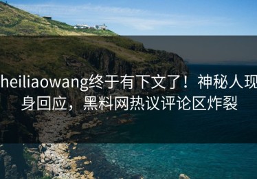 heiliaowang终于有下文了！神秘人现身回应，黑料网热议评论区炸裂