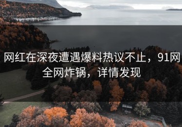 网红在深夜遭遇爆料热议不止，91网全网炸锅，详情发现