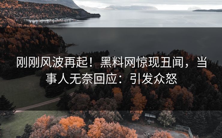 刚刚风波再起！黑料网惊现丑闻，当事人无奈回应：引发众怒