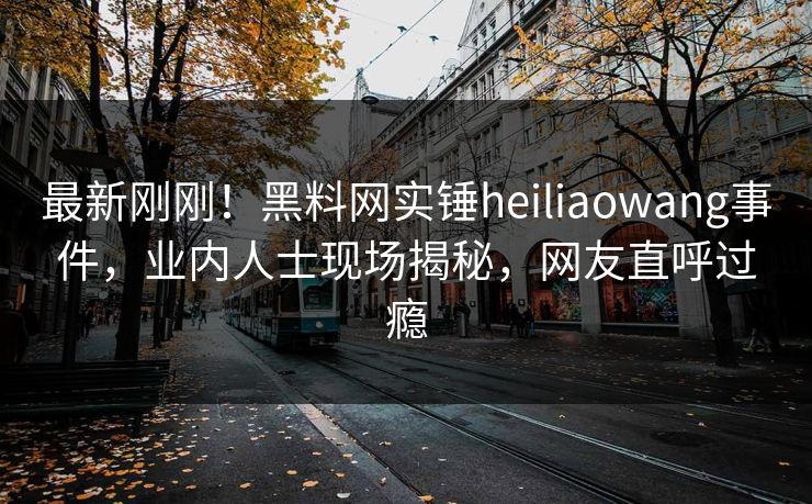 最新刚刚！黑料网实锤heiliaowang事件，业内人士现场揭秘，网友直呼过瘾
