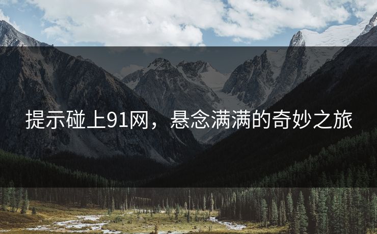 提示碰上91网，悬念满满的奇妙之旅